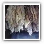 LEAF TOBACCO SHREDDED TOBACCO raw tobacco leaf dark air cured tobacco rustica tobacco FLUE CURED TOBACCO